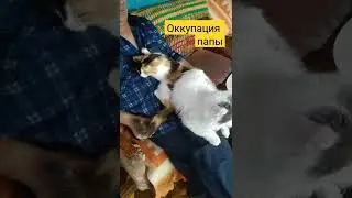 #Кот_Кузя