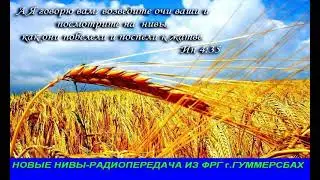 Новые нивы 645   Радиопередача из ФРГ  г Гуммерсбах