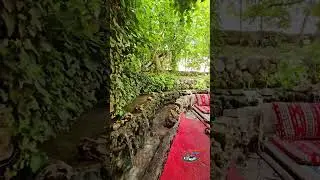 Kafro Pizza Köyü ve Beyaz Su'dan Keyifli Dakikalar 🥰