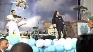 Orthodox Celts live in Novi Sad
