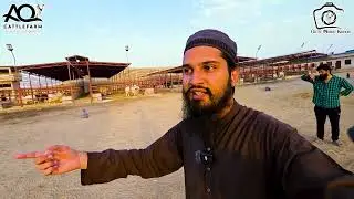 Challenging Video 🤣 Sab ko Khol to Dia, Ab Pakrega Kon? 😱 AQ Cattle Farm