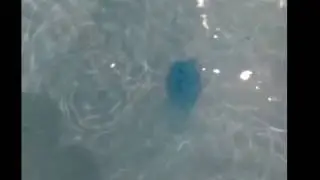 Dissolving fortune-telling bath bomb