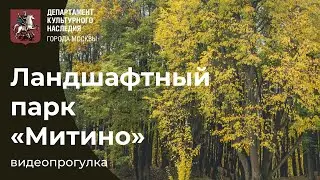 A Video Tour of Mitino Landscape Park
