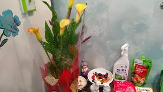 🛍👍 Много покупок/продукты/бытовая химия/заказ ретро парфюма на WALDBERRIES/покупки комнатных цветов