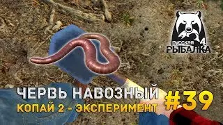 Русская рыбалка 4 #39 - Червь навозный. Копай 2 - эксперимент
