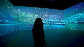 Democray Museum Experience
