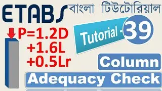 39. Column Adequacy Check under Gravity Loads | Ultimate Capacity vs Fz | Civil Engineering Tips