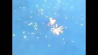 Дневной салют на детский праздник