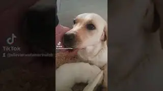 Calypso By Marina Lab, con I suoi piccoli, 30 giorni di Amore Puro!