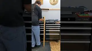 Organize Your Printed Solid Jessie Dogs - Chris's Basement 2024