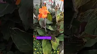 31.08.24г🌹Жизнь ПРЕКРАСНА!!!😊