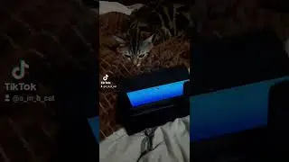 Мультики💣💣💣 