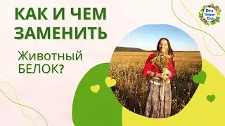 Чем заменить животный белок? | Белок для вегана | Проект DinaVeganClub
