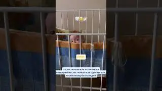 Когда должно быть все под присмотром 🥹🤍 