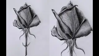 ROSE Drawing Easy 🌹| How to Draw a Rose step by step