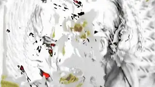 Flёur – На мягких лапах