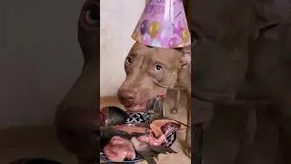 Gina's party 🥳 #