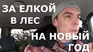 За ЕЛКОЙ в лес к НОВОМУ ГОДУ