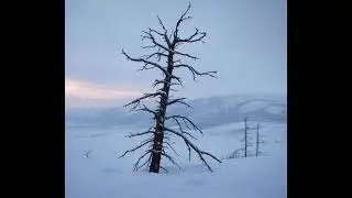A Slideshow To Represent Cold Demise