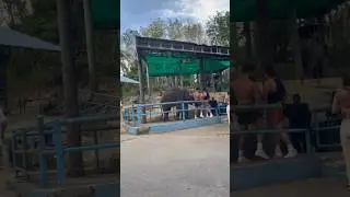Я против эксплуатации животных! 🐘 А вы? #shortsvideo #shorts #thailand #bigbuddhaphuket