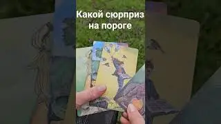 #феникстаро
