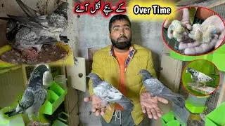 Finally Over Time Ka Bachay Nikal Aey 😅