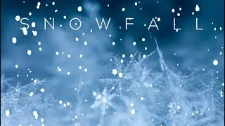 Snow Fall