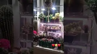 Вечер