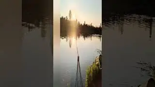 23 августа 2024 г.
