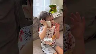 Мирон звонит 