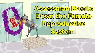 Assessman Breaks Down the Female Reproductive System! (Step 1, COMLEX, NCLEX®, PANCE, AANP)