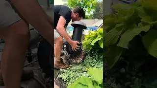 Burying a subwoofer