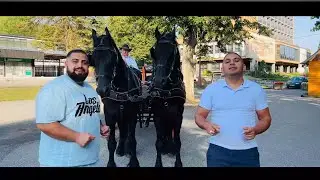 🎬Grundzovič Band - Šunes Man | VideoKlip - 2024🎬