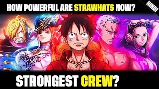 How Powerful are Strawhats Now ? | One Piece | Anime hub 