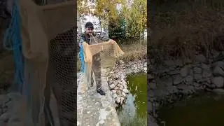 Я В ШОКЕ ОТ ТАКОЙ РЫБАЛКИ! Накрыл стаю. Рыбалка. 