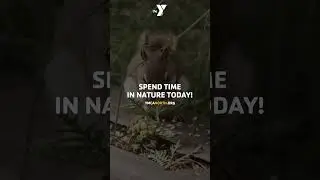 Nature Clip for Relaxing