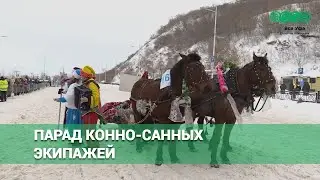 В Уфе прошёл парад конно-санных экипажей