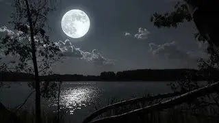 B.o.a.H - Twilight