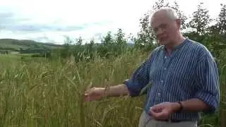 Andrew Whitley - Changing the food system with bread and agroforestry