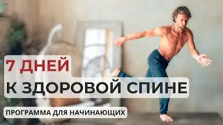Урок 5. Программа упражнений – 7 дней к здоровой спине.