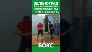 Зеленоград новости спорта. Школа бокса весной. Запись круглый год 2.