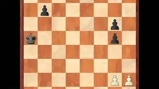 Chess Beauty #91