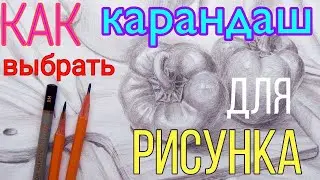 Как выбрать карандаш для рисования академического рисунка / Твердость карандаша / Буквы на карандаше