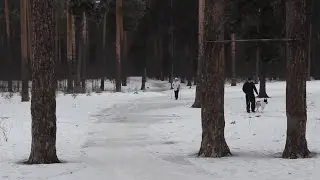 В лесу
