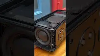 Marshall Middleton Bass Test 