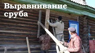 Выравнивание сруба и подъем двора