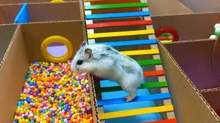 ХОМЯК в ЛАБИРИНТЕ №3🐹 [ Хомяк проходит сложный лабиринт ]