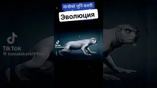 Есть пробелы: в эволюции....?!