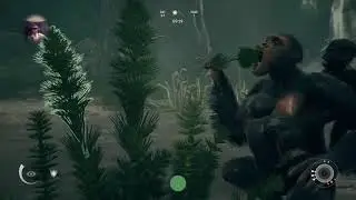 Red Fox Plays - Ancestors: The Humankind Odyssey - Episode 2