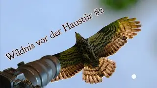 Zoom in die Heimat #2